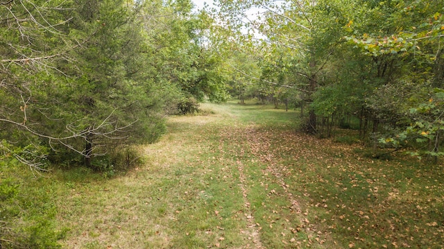 view of landscape