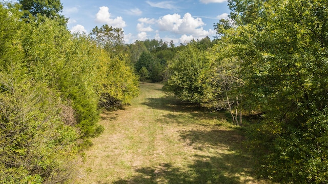 view of landscape