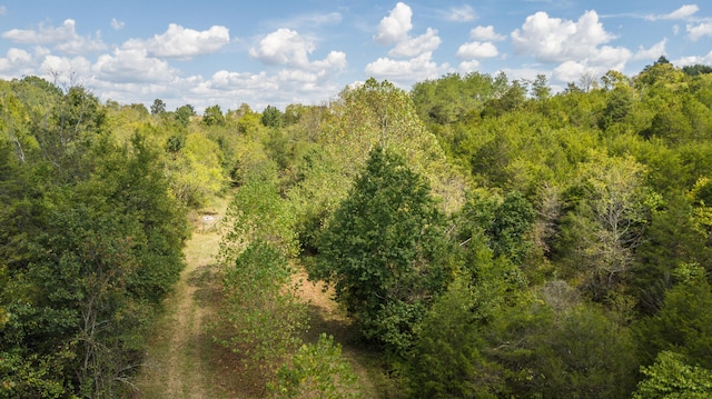 view of local wilderness