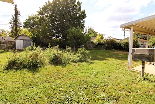 view of yard with a storage unit