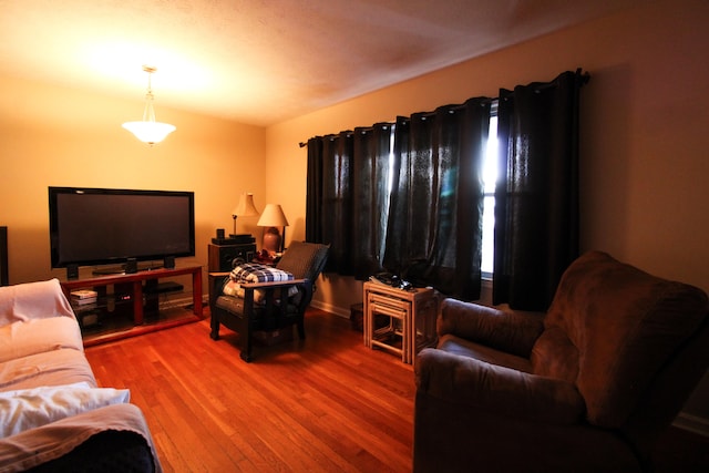 living room with hardwood / wood-style flooring