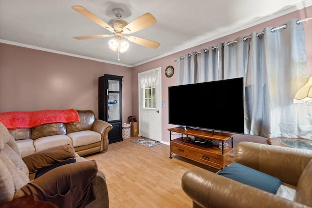 living room featuring ceiling fan, ornamental molding, and light hardwood / wood-style floors