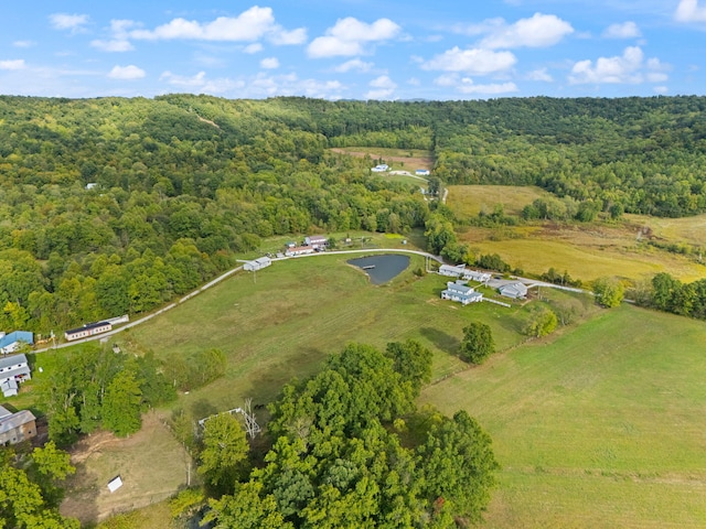 bird's eye view