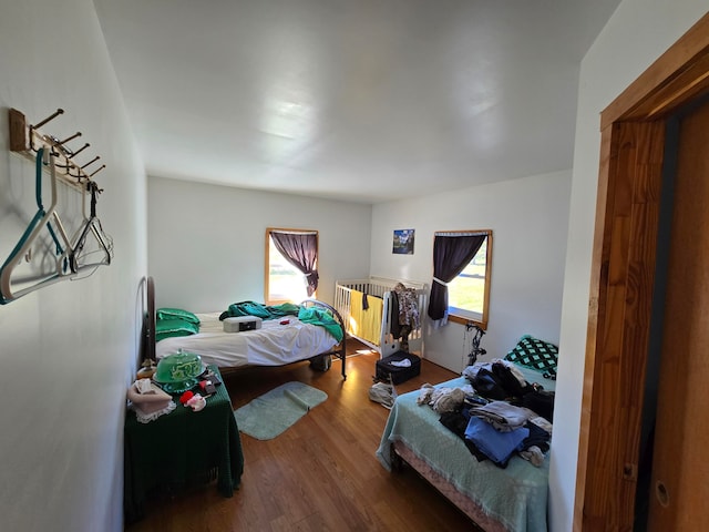 bedroom featuring multiple windows and wood-type flooring