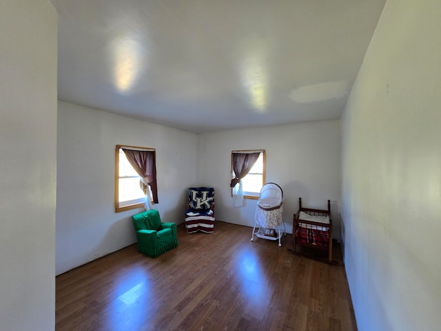 miscellaneous room featuring dark hardwood / wood-style floors and a healthy amount of sunlight