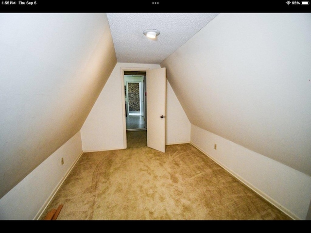 additional living space featuring light carpet, lofted ceiling, and a textured ceiling