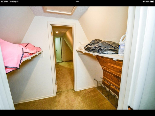 spacious closet with lofted ceiling and carpet floors