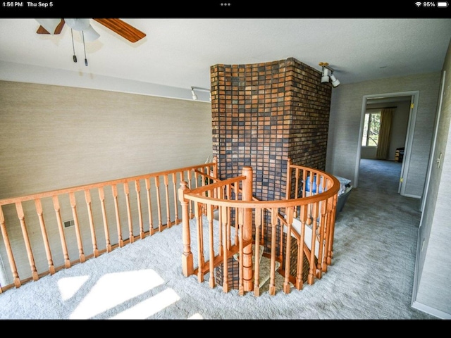 dining area featuring carpet flooring