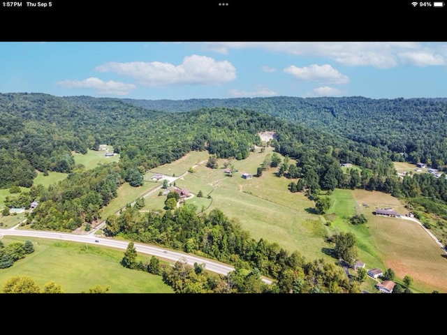 bird's eye view