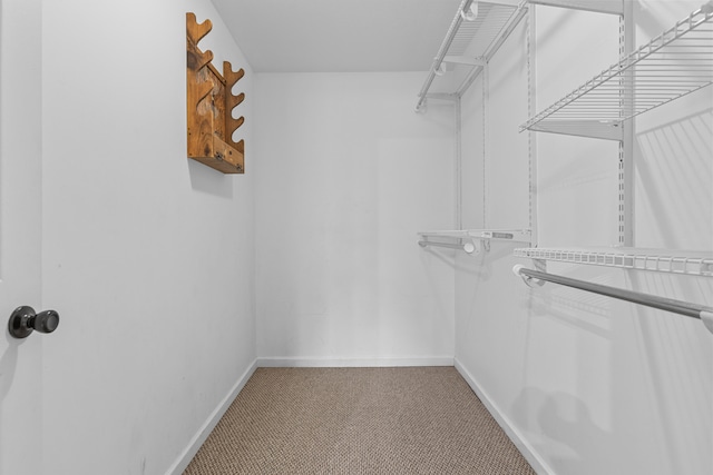 walk in closet with carpet