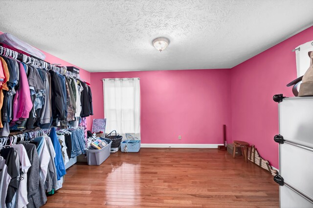 spacious closet featuring wood-type flooring