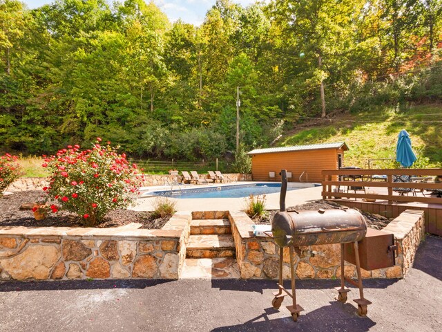 view of pool with a grill and a patio area