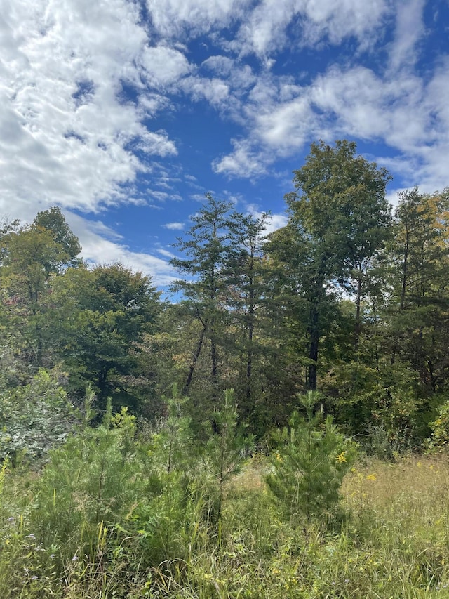 view of local wilderness with a view of trees