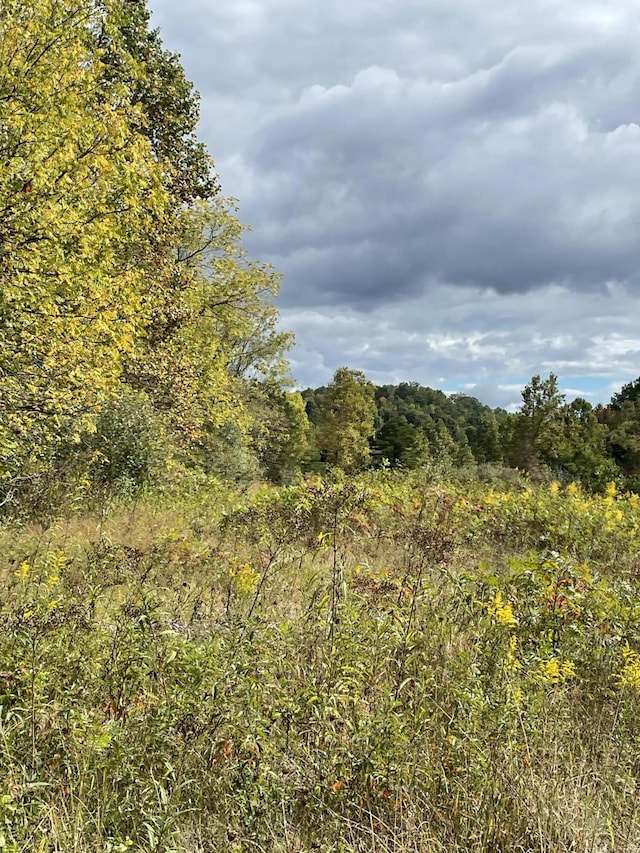 view of nature with a wooded view