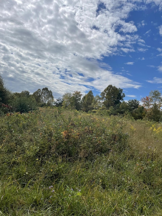 view of landscape