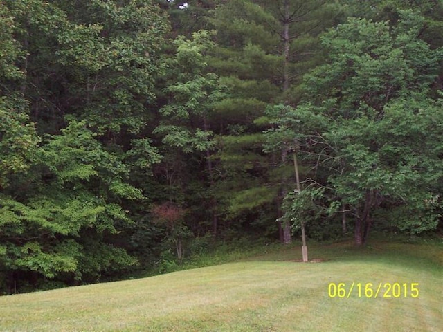 view of yard featuring a wooded view