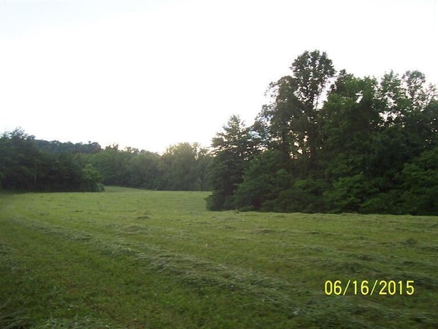 view of yard featuring a rural view and a wooded view