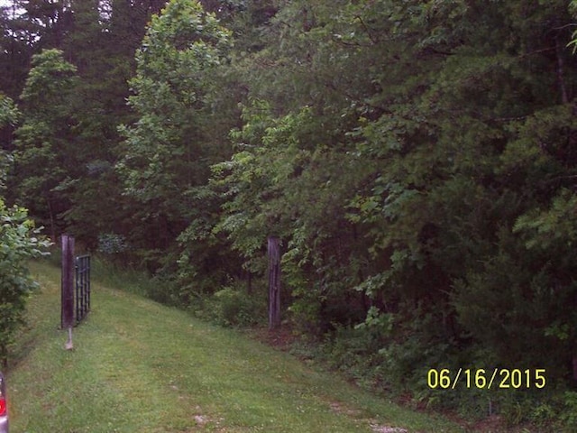 view of yard with a forest view