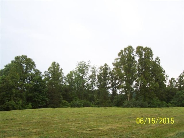 view of local wilderness featuring a view of trees