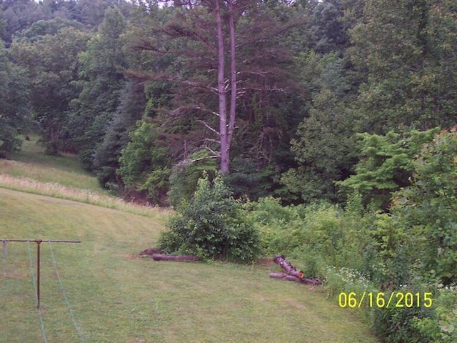 view of yard featuring a wooded view