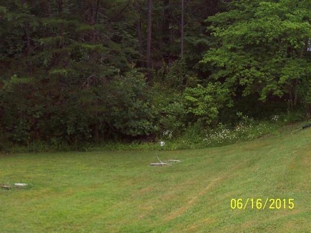 view of yard featuring a forest view