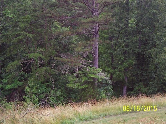 view of landscape with a forest view