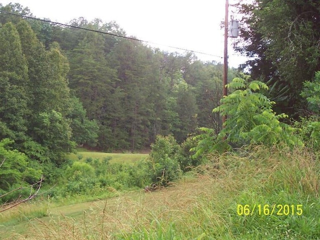 view of nature featuring a wooded view