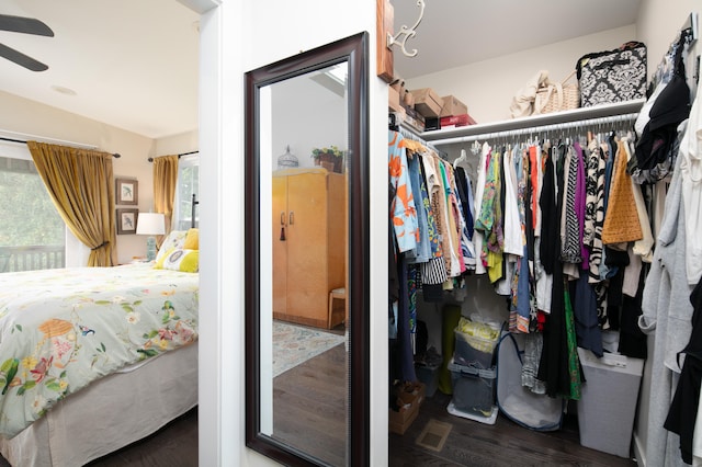 spacious closet with dark wood-type flooring