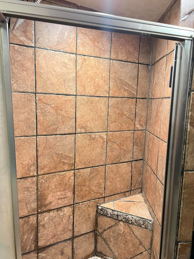 bathroom featuring a shower with shower door