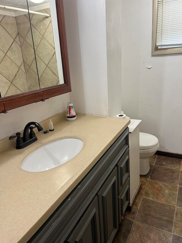 bathroom with a shower, vanity, and toilet