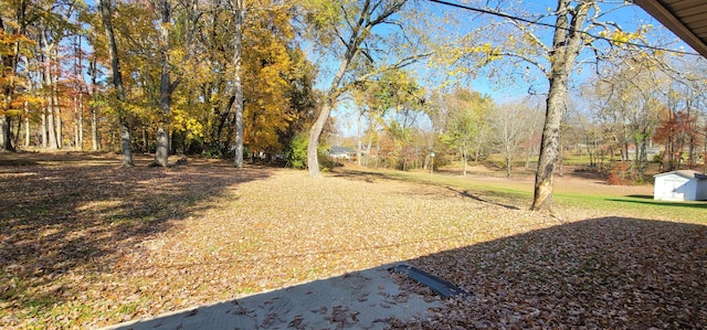 view of yard with a storage shed