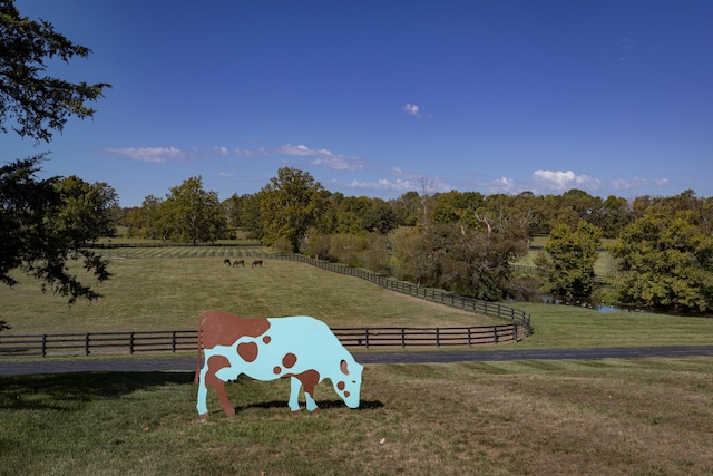 view of yard featuring a rural view