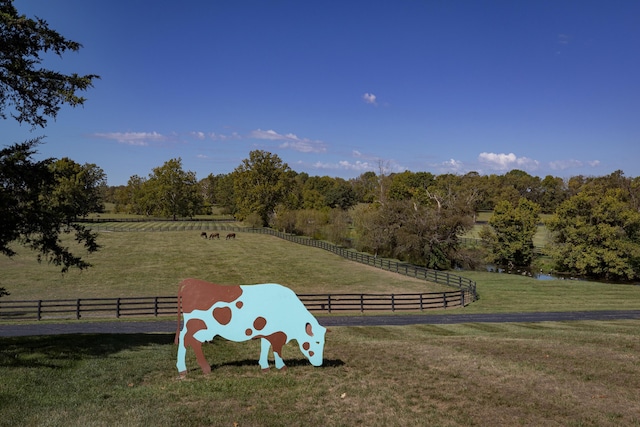 3521 Bryan Station Rd, Lexington, KY 40516 - view of yard featuring a view of countryside