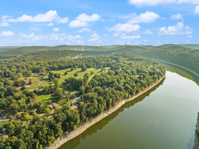 birds eye view of property featuring a water and mountain view