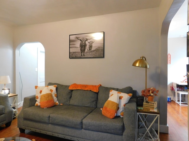 living room featuring hardwood / wood-style flooring