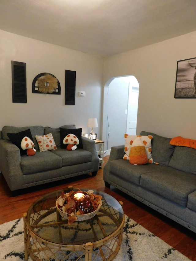 living room with dark hardwood / wood-style floors