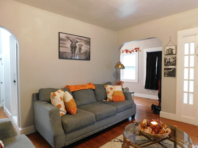 living room featuring dark hardwood / wood-style flooring