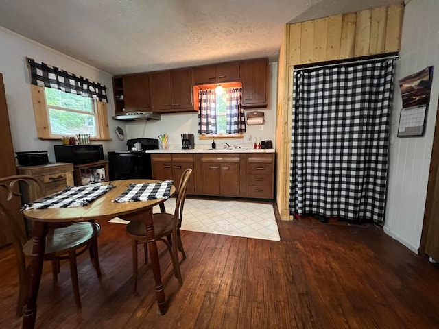 kitchen featuring black / electric stove, dark hardwood / wood-style flooring, sink, and a textured ceiling