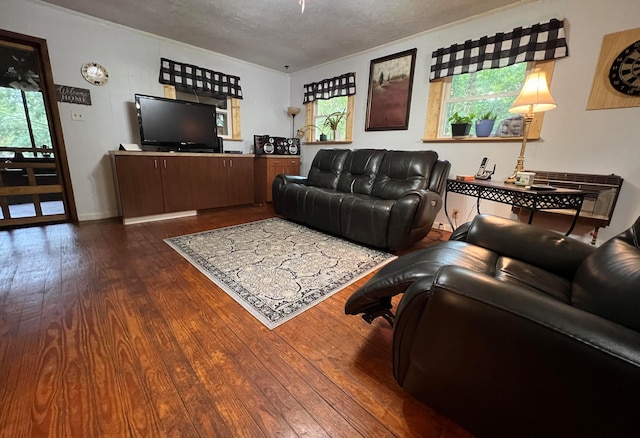 living room with dark wood-type flooring and a textured ceiling