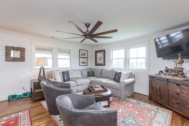 living room with hardwood / wood-style flooring, ornamental molding, ceiling fan, and plenty of natural light