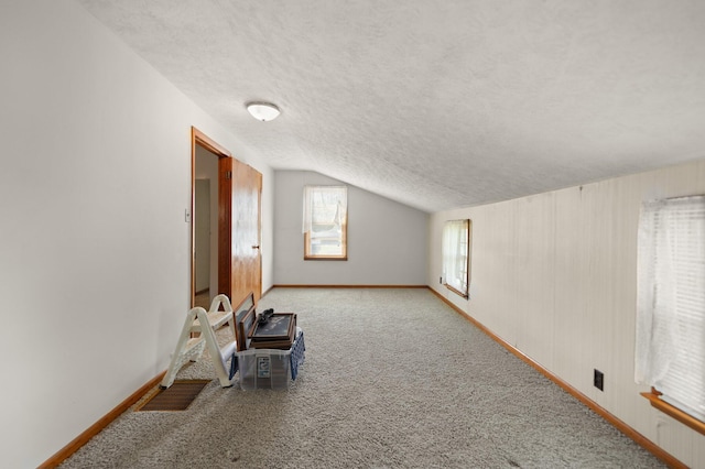 additional living space with lofted ceiling, a textured ceiling, and light colored carpet