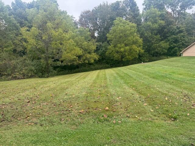 12 Greenleaf Dr, Campbellsville, KY 42718