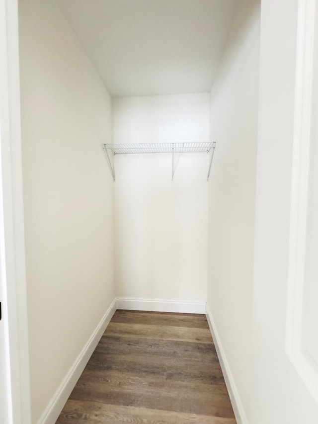 walk in closet featuring dark wood-type flooring