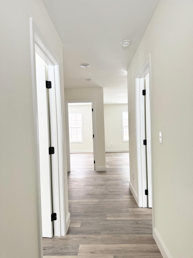 hallway with plenty of natural light and light hardwood / wood-style floors