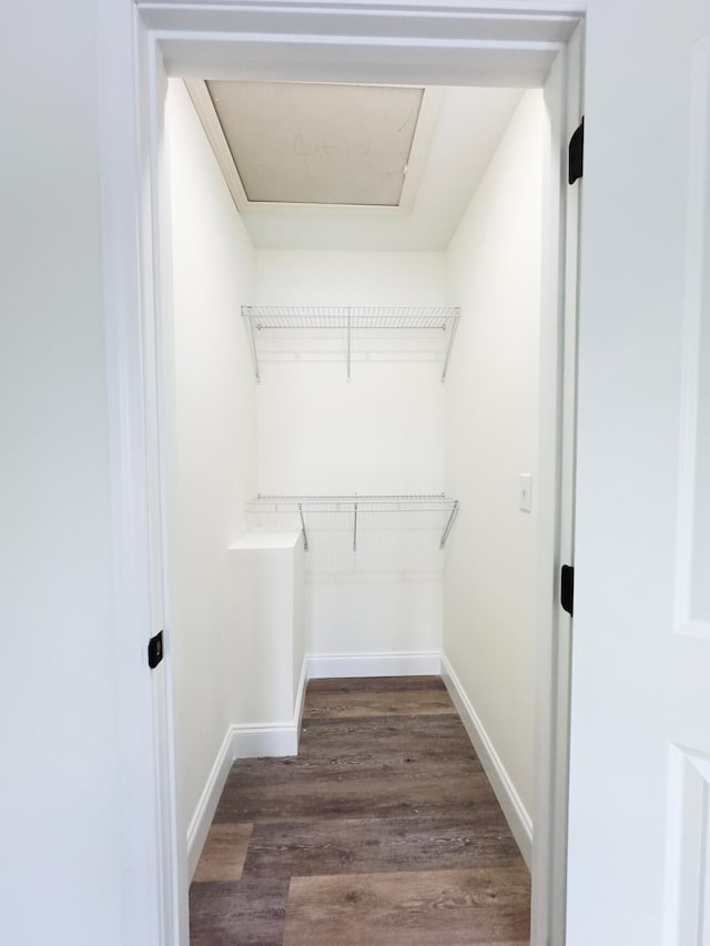 walk in closet with dark hardwood / wood-style flooring