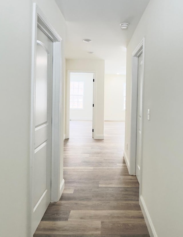 hall with hardwood / wood-style floors