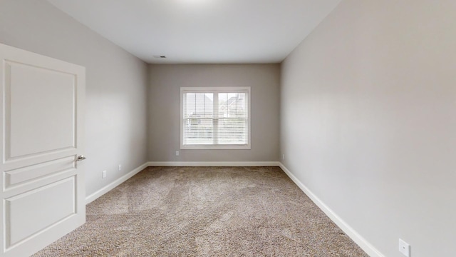 spare room with carpet floors