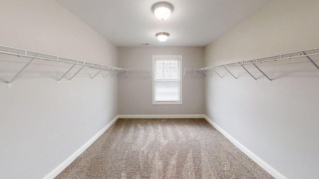 walk in closet with carpet