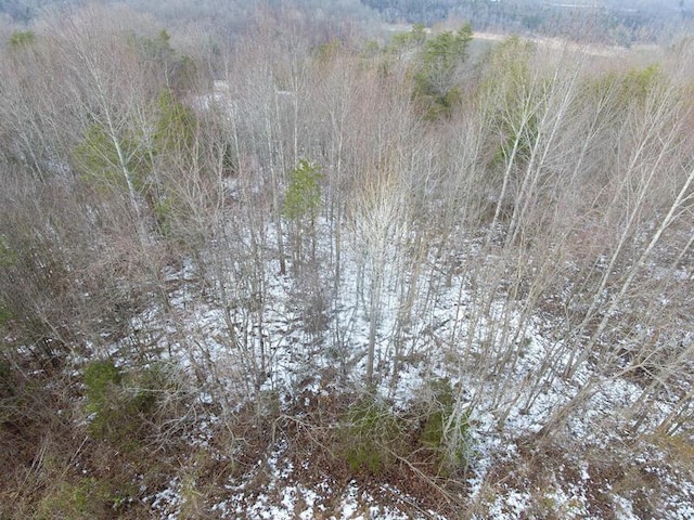 LOT51 Shepperd, Nancy KY, 42544 land for sale