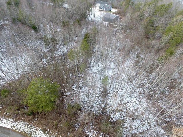 Listing photo 3 for LOT51 Shepperd, Nancy KY 42544